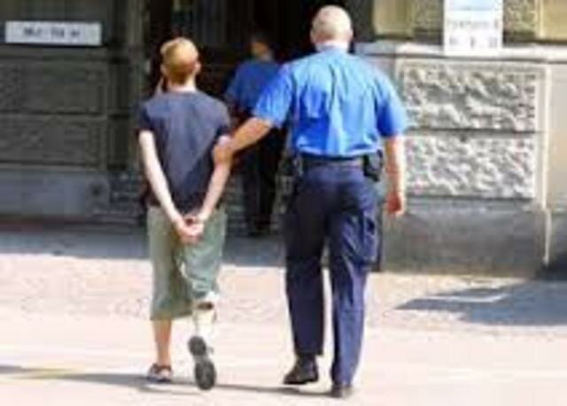 ORGANIZACIONES ESPECIALES PARA DELINCUENTES JUVENILES