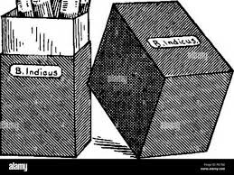 Tapón de algodón para esterilización