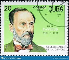 Fermentación láctica y alcohólica,