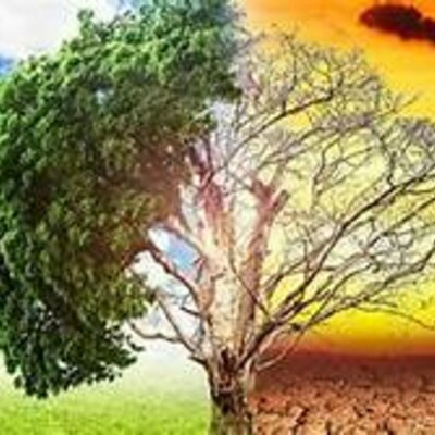 Timeline: Linea del tiempo