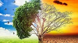 Timeline: Linea del tiempo