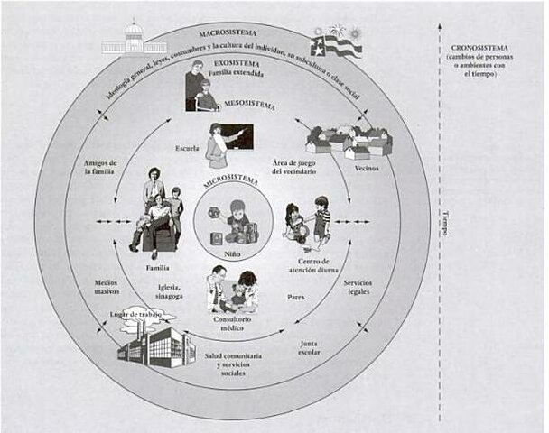 CONCEPTO ECOLÓGICO DEL DESARROLLO