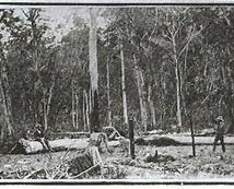 The date of the Shootout at Stringybark Creek