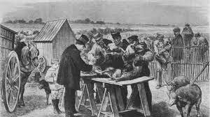 Vacunación contra la rabia