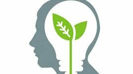 Timeline: Actividad 2 - Tarea - Reconociendo mis competencias