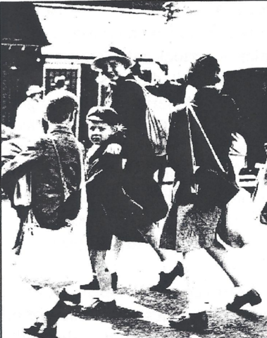 The United States’s Quota System