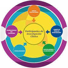 Revisión procesos de investigación