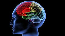 Timeline: Η Ψυχολογία μέσα στα χρόνια