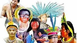 Timeline: Recogiendo saberes en torno a la diversidad