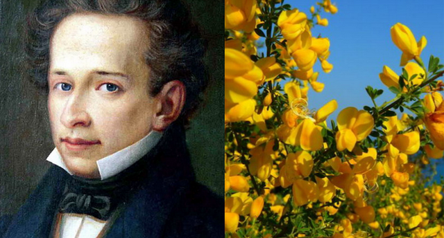 La ginestra - Giacomo Leopardi