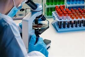 Aparición de la medicina