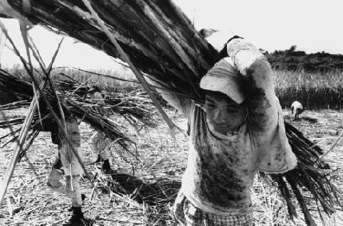 EL NIÑO EN LA EDAD CONTEMPORÁNEA