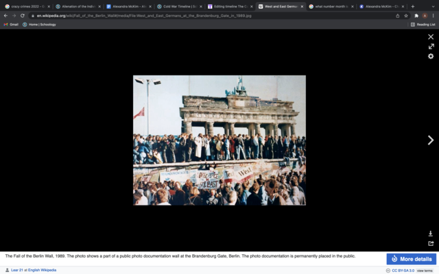 Berlin Wall comes down