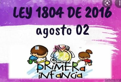 LEY 1804 DE 2016