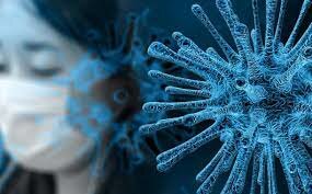 Primeiros caso SARS-Cov 2 (Covid-19)