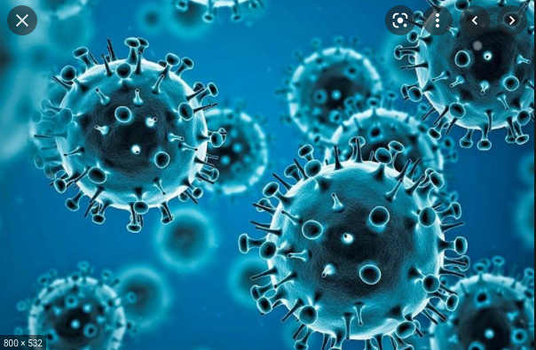 Primer contagio en Perú