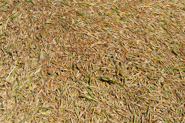 Pilot Project with AURI Formally Began