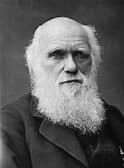 Darwin