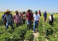 Programa de Apoyo al Comercio Ejidal