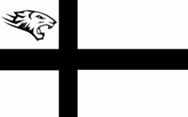 LoA with Siberian Tiger Alliance