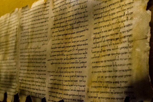 LOS ROLLOS DEL MAR MUERTTO