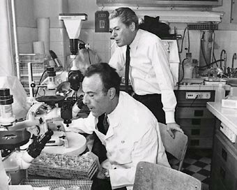 François Jacob y Jacques Monod; El primer ejemplo de control de la expresión de genes a nivel de transcripción; El operón Lac