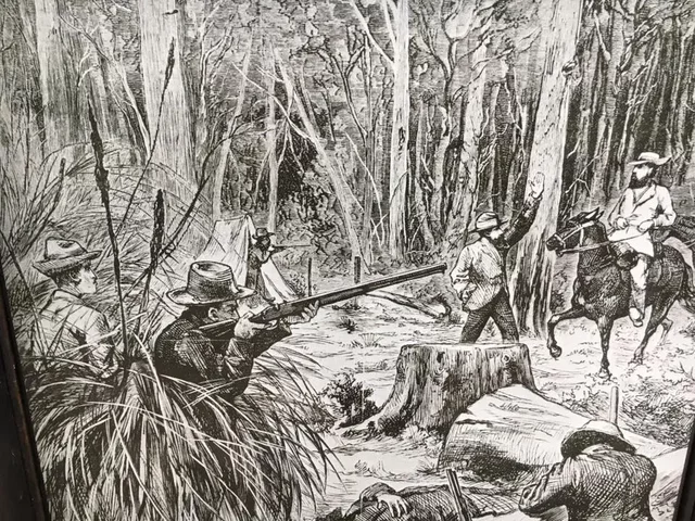shootout at stringybark creek