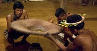 Explotación de los recursos naturales