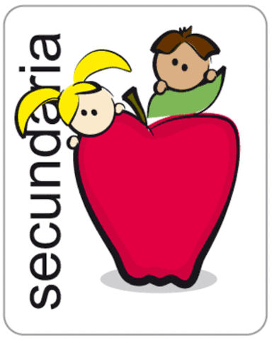 Término educación secundaria