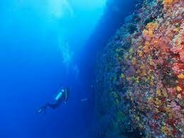 Ocean Exploration Benefits