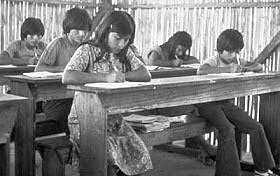 Ley de Enseñanza Rudimentaria