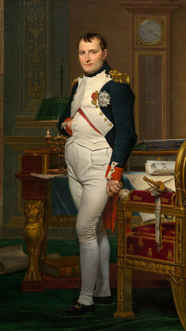 Napoleon postane vladar francije