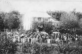 1885: Carlos Hillebrand