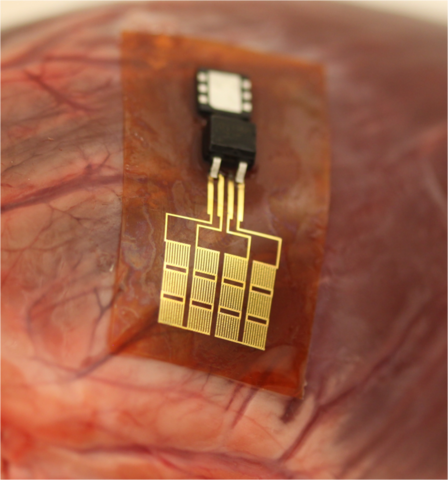 She invented Conformal Piezoelectric Mechanical Energy Harvesters (PZT MEH)