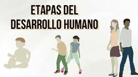 Timeline: ETAPAS DEL DESARROLLO HUMANO