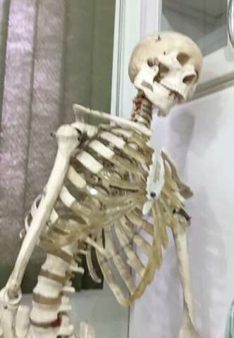 Fundação Evangélica