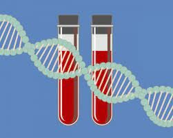 SCIENTIFIC DEVELOPMENT