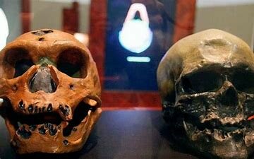 Enfermedades que afectaban a los primitivos