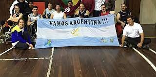 Organizacion del panamericano