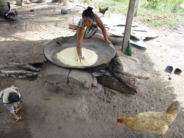 La Casa Arana- Caucho