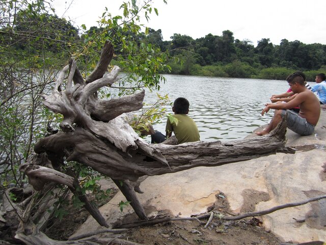 Fin de las Caucherías