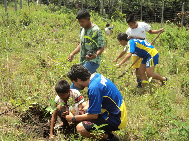 Proyecto Pedagógico Ambiental