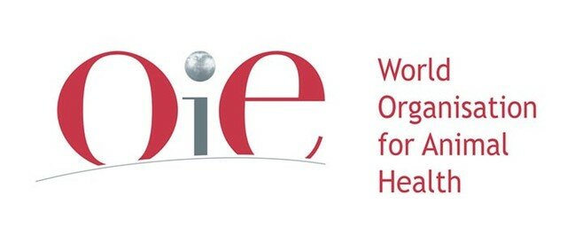 OIE