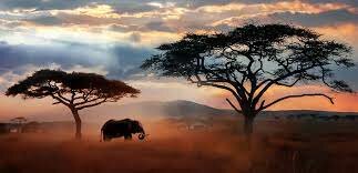 Del quinto al octavo objetivo 1.2