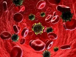 Del quinto al octavo objetivo 1.5