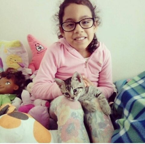 cuando adopte a mi gatito