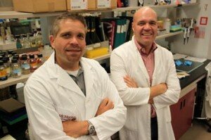 LA RESISTENCIA A LOS ANTIBIOTICOS POR LAS BACTERIAS DATA DE HACE 30 MIL AÑOS