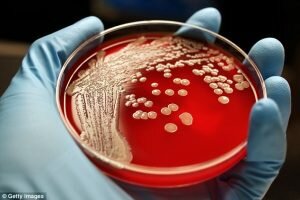 ENCUENTRAN BACTERIAS RESISTENTES A LOS ANTIBIÓTICOS EN LOS INTESTINOS DE MOMIAS INCAS DE HACE MIL AÑOS