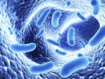 El trasplante del microbioma intestinal de una persona a otra transfiere enfermedades y salud: el trasplante fecal (popó) ayuda contra las superbacterias