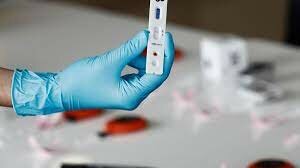 Pandemia polo Covid-19